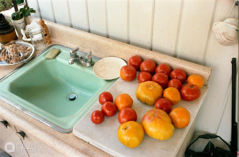 纽约时报《T》杂志2016年度人物 | 威廉·埃格尔斯顿（William Eggleston） 崇真艺客