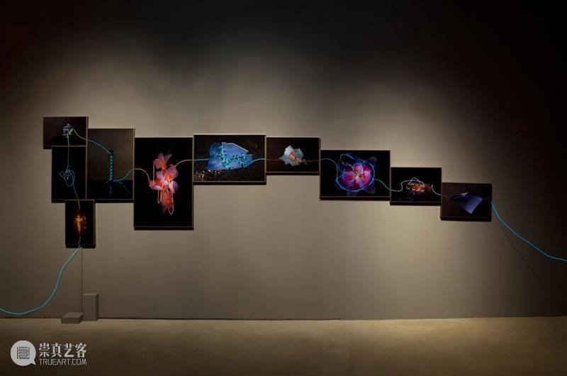 HOW 新展|变量的活力 Vitality of Variables 变量 活力 新展 HOW 展期 艺术家 陈天灼 丁乙 胡介鸣 梁绍基 崇真艺客