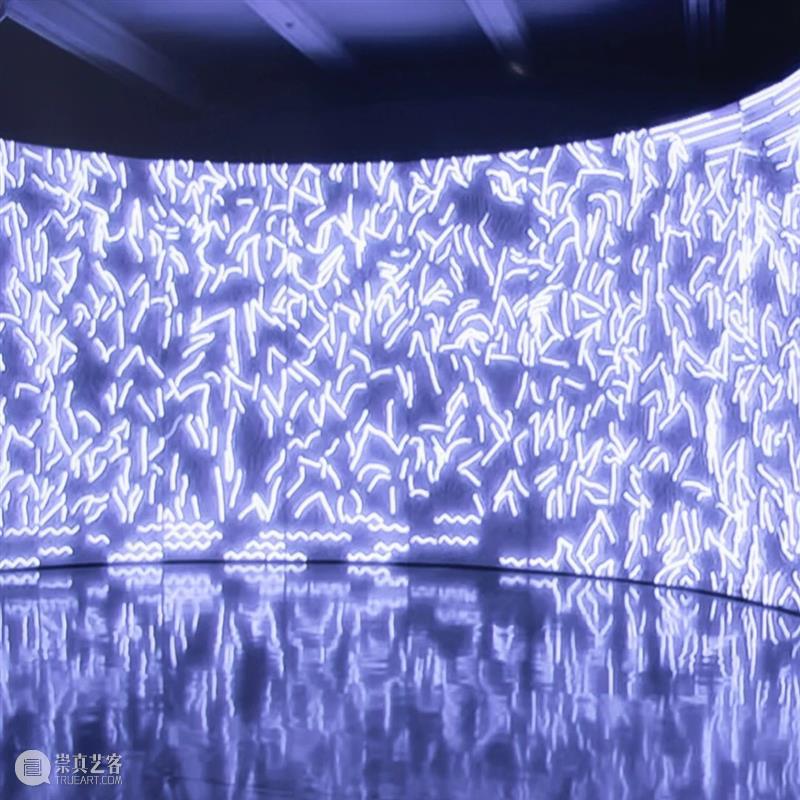 PSA读图 | 《床》——张恩利 张恩利 PSA 床1 布面 油画 床3 上海 双年展 主题 快城快客 崇真艺客