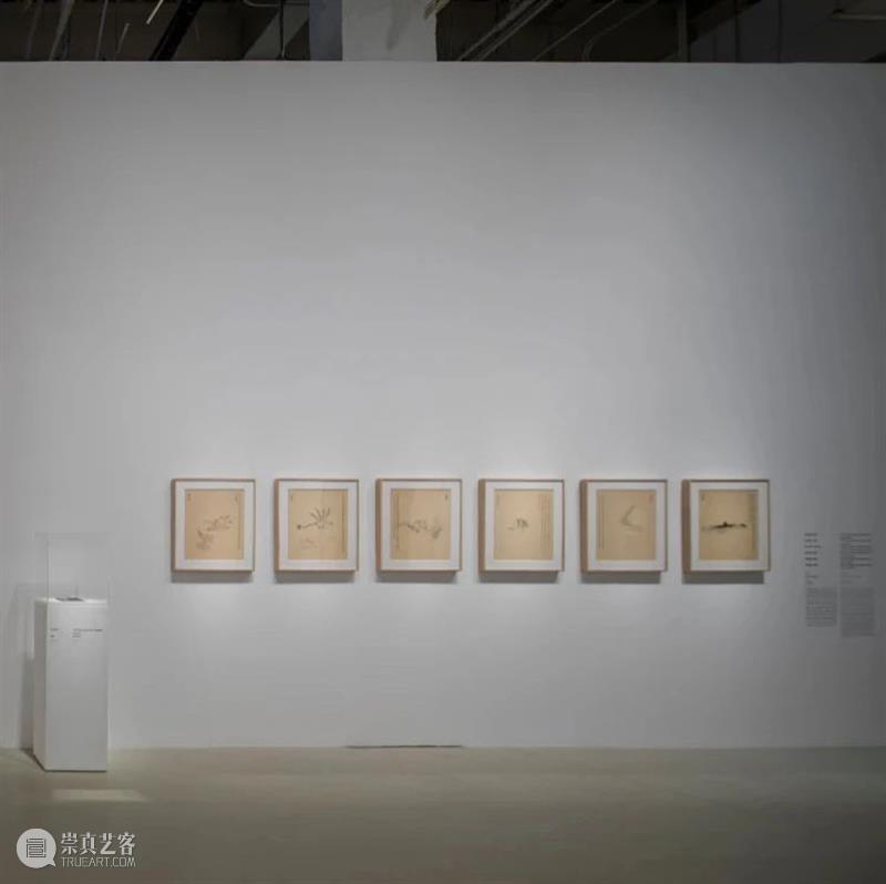PSA读图 | 《床》——张恩利 张恩利 PSA 床1 布面 油画 床3 上海 双年展 主题 快城快客 崇真艺客