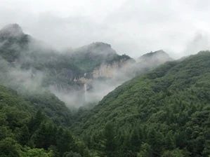 沣水研究计划 | 任钊:水镜 沣水 计划 任钊 水镜 Plan Water 策展人 杨西 艺术家 彭德 崇真艺客