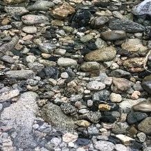 沣水研究计划 | 任钊:水镜 沣水 计划 任钊 水镜 Plan Water 策展人 杨西 艺术家 彭德 崇真艺客