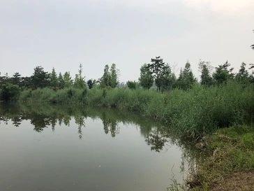 沣水研究计划 | 任钊:水镜 沣水 计划 任钊 水镜 Plan Water 策展人 杨西 艺术家 彭德 崇真艺客
