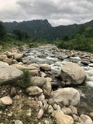 沣水研究计划 | 任钊:水镜 沣水 计划 任钊 水镜 Plan Water 策展人 杨西 艺术家 彭德 崇真艺客