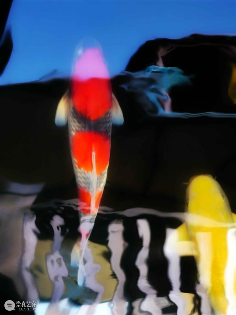 艾米李画廊 · 艺博会 | 与您相约 2020 Art Shenzhen A08展位 艾米 李画廊 展位 Art Shenzhen 艺博会 朋友们 艺术 深圳 博览会 崇真艺客