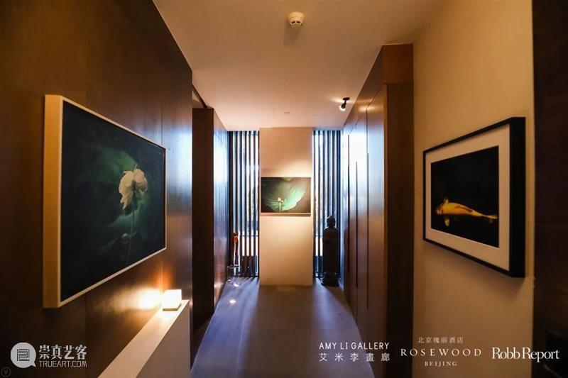 艾米李画廊 · 艺博会 | 与您相约 2020 Art Shenzhen A08展位 艾米 李画廊 展位 Art Shenzhen 艺博会 朋友们 艺术 深圳 博览会 崇真艺客