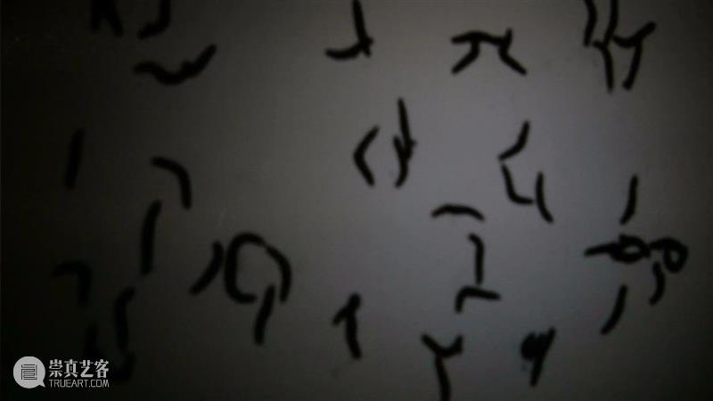 展览前瞻（五） | 新写意主义——第二届中国当代艺术名家邀请展 写意主义 中国 艺术 名家 邀请展 前瞻 学术 刘骁纯 夏可君 品人 崇真艺客