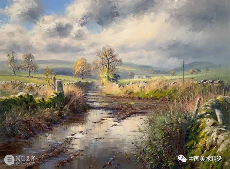 大气的英伦风光 大气 英伦 风光 英国风景 画家 Preston 伯明翰 全职 乡村 兴趣 崇真艺客