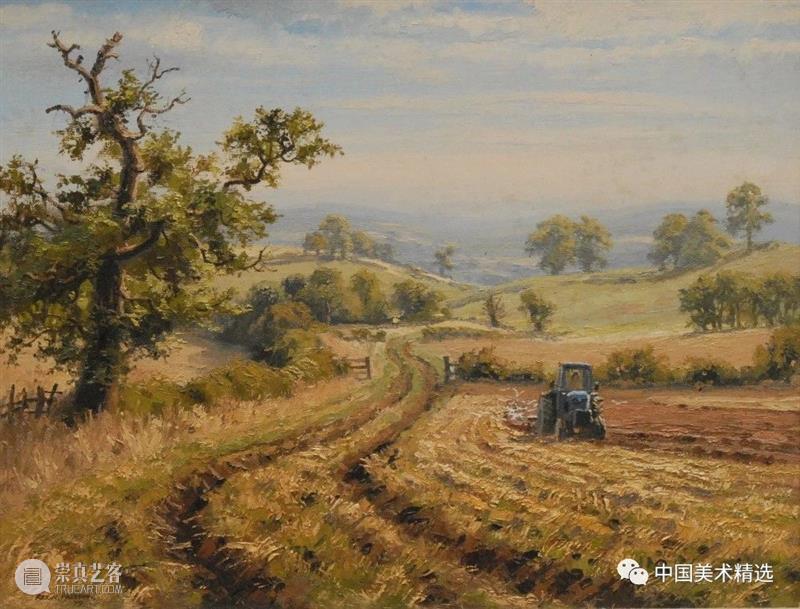 大气的英伦风光 大气 英伦 风光 英国风景 画家 Preston 伯明翰 全职 乡村 兴趣 崇真艺客