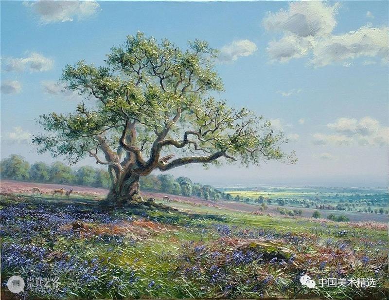 大气的英伦风光 大气 英伦 风光 英国风景 画家 Preston 伯明翰 全职 乡村 兴趣 崇真艺客