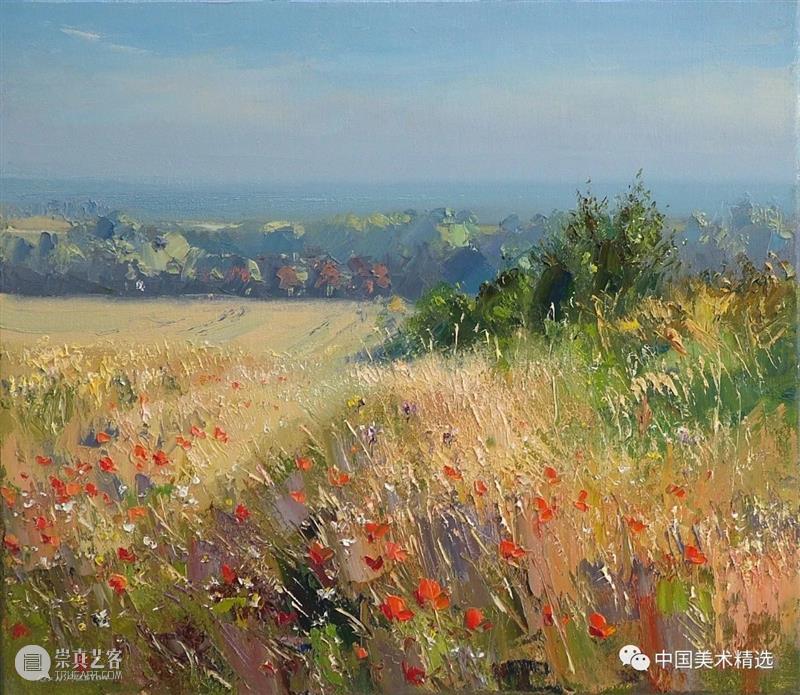 大气的英伦风光 大气 英伦 风光 英国风景 画家 Preston 伯明翰 全职 乡村 兴趣 崇真艺客
