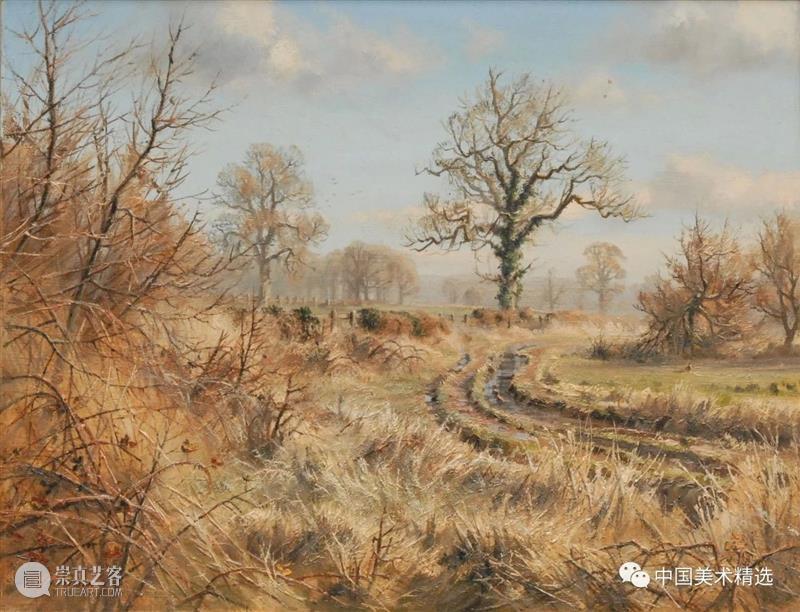 大气的英伦风光 大气 英伦 风光 英国风景 画家 Preston 伯明翰 全职 乡村 兴趣 崇真艺客