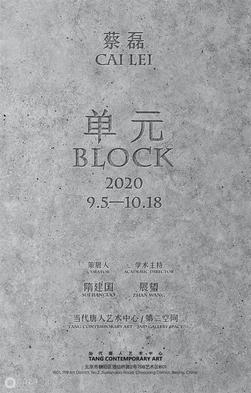 展览现场｜蔡磊个展“单  元” 蔡磊 个展 现场 元CaiLei BLOCK 策展人 隋建国 Curator Jianguo 学术 崇真艺客