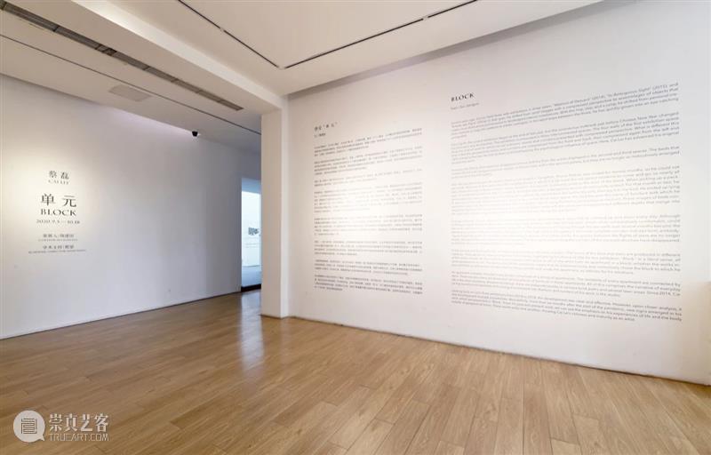 展览现场｜蔡磊个展“单  元” 蔡磊 个展 现场 元CaiLei BLOCK 策展人 隋建国 Curator Jianguo 学术 崇真艺客
