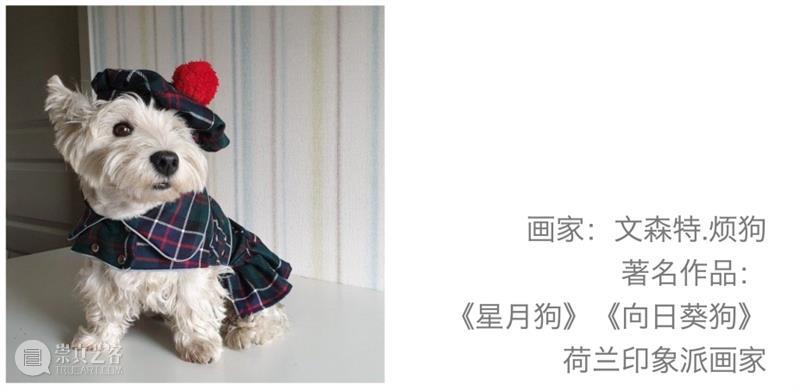宠你上天 | 一大波软绵绵萌宠巨星袭来 萌宠 巨星 上天 大波 活动 详情 FORPETS 一家人 孩子 主子 崇真艺客