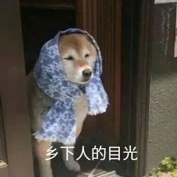 甜茶主演《沙丘》首曝预告；《行尸走肉》将第11季完结 行尸走肉 沙丘 甜茶 影视 好剧 小豆 我和我的家乡 徐峥 单元 预告 崇真艺客
