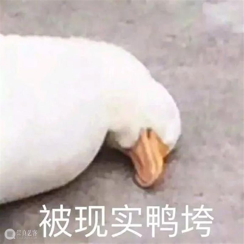 甜茶主演《沙丘》首曝预告；《行尸走肉》将第11季完结 行尸走肉 沙丘 甜茶 影视 好剧 小豆 我和我的家乡 徐峥 单元 预告 崇真艺客