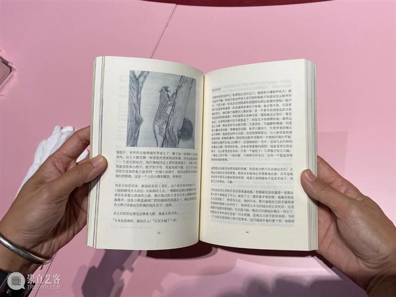 南方不是一座孤岛 | 陈丹笛子 秦晋 文皆俊杰 南方 孤岛 陈丹笛子 秦晋 地址 深圳馆 展厅 艺术家 梁铨 林奥劼 崇真艺客