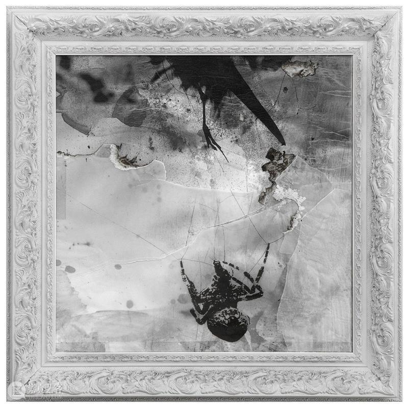 问象艺术家简介 |  Art Shenzhen 2020 : 管策（GUAN Ce） 艺术家 管策 简介 Art Shenzhen 艺术 深圳 博览会 ART SHENZHEN 崇真艺客