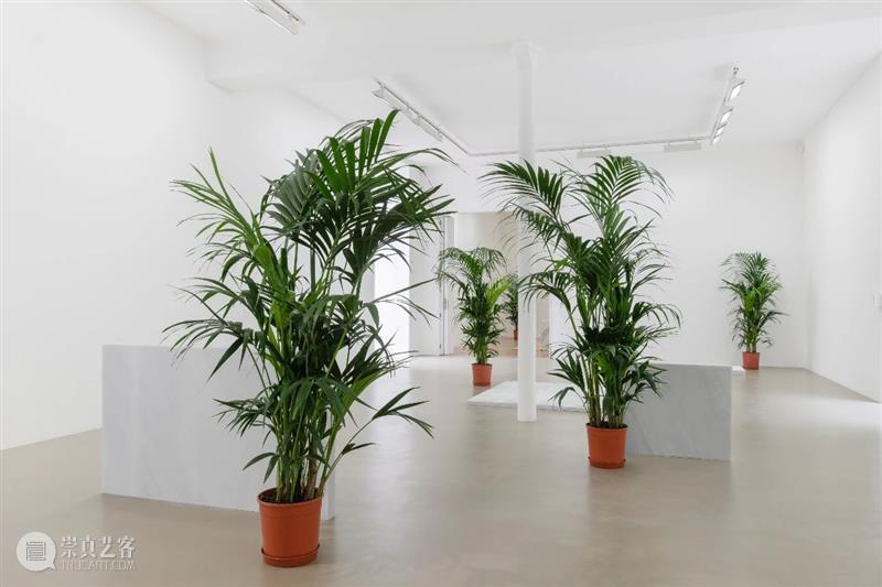 正在展出 | Rirkrit Tiravanija（里克力·提拉瓦尼加）无题 2020（从前）（在贾思培·琼斯之后） Tiravanija 里克 从前 贾思培 琼斯 之后 无题 提拉瓦尼加 提拉瓦尼 untitled 崇真艺客