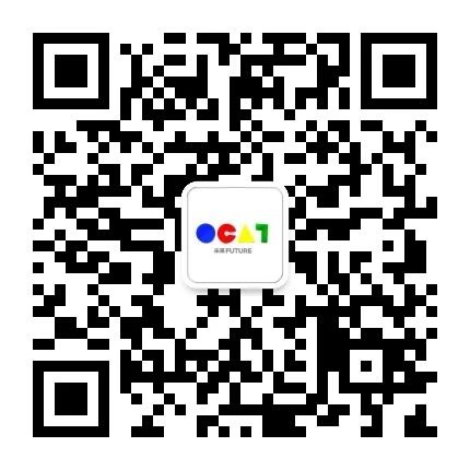 [ OCAT｜特别项目 ] 共同工作 项目 OCAT 艺术 深圳 内部 外部 实践者 工作 成果 观众 崇真艺客