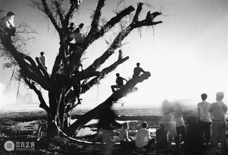展讯 | 浪奔时代 ——馆藏影像研究展（1980-2020） 影像 时代 展讯 研究展 广东 录像 作品 文献 基础 于广东 崇真艺客