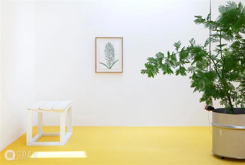 卡迈勒 · 梅隆赫画廊线上展厅呈现穆罕默德 · 布胡伊萨全新作品与标志性创作 穆罕默德 胡伊萨 线上 展厅 卡迈勒 梅隆赫 画廊 作品 标志性 家族 崇真艺客