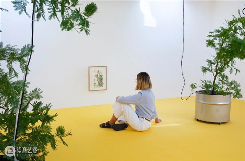 卡迈勒 · 梅隆赫画廊线上展厅呈现穆罕默德 · 布胡伊萨全新作品与标志性创作 穆罕默德 胡伊萨 线上 展厅 卡迈勒 梅隆赫 画廊 作品 标志性 家族 崇真艺客