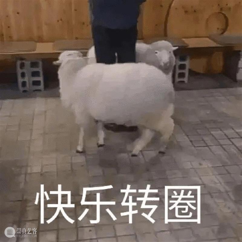 剧版《繁花》曝胡歌剧照；高能爽片《杀人快乐》首曝预告 繁花 胡歌 预告 剧照 高能 杀人快乐 影视 好剧 小豆 长春电影节 崇真艺客