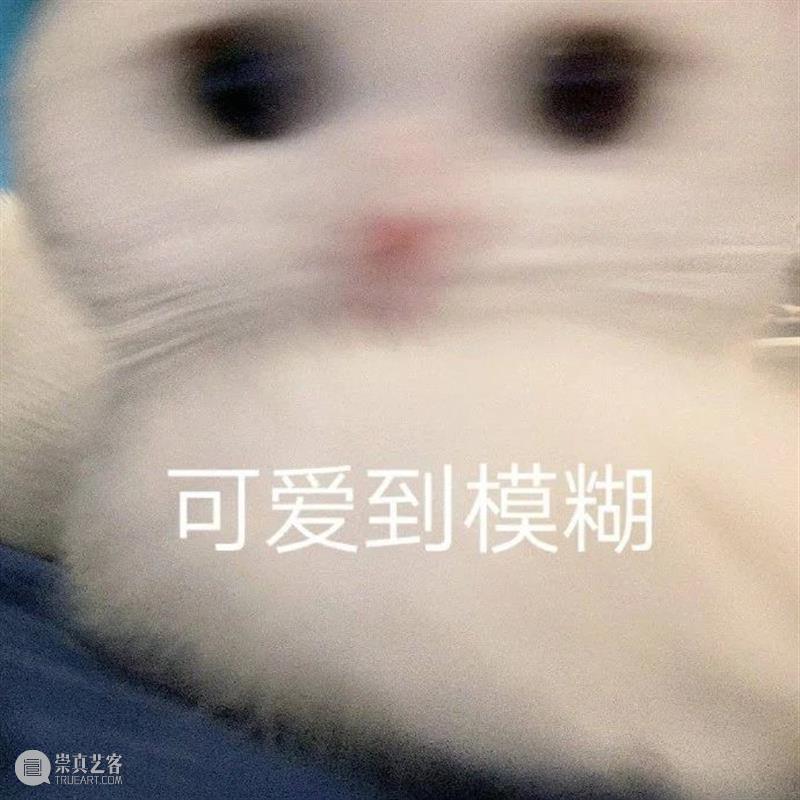 剧版《繁花》曝胡歌剧照；高能爽片《杀人快乐》首曝预告 繁花 胡歌 预告 剧照 高能 杀人快乐 影视 好剧 小豆 长春电影节 崇真艺客