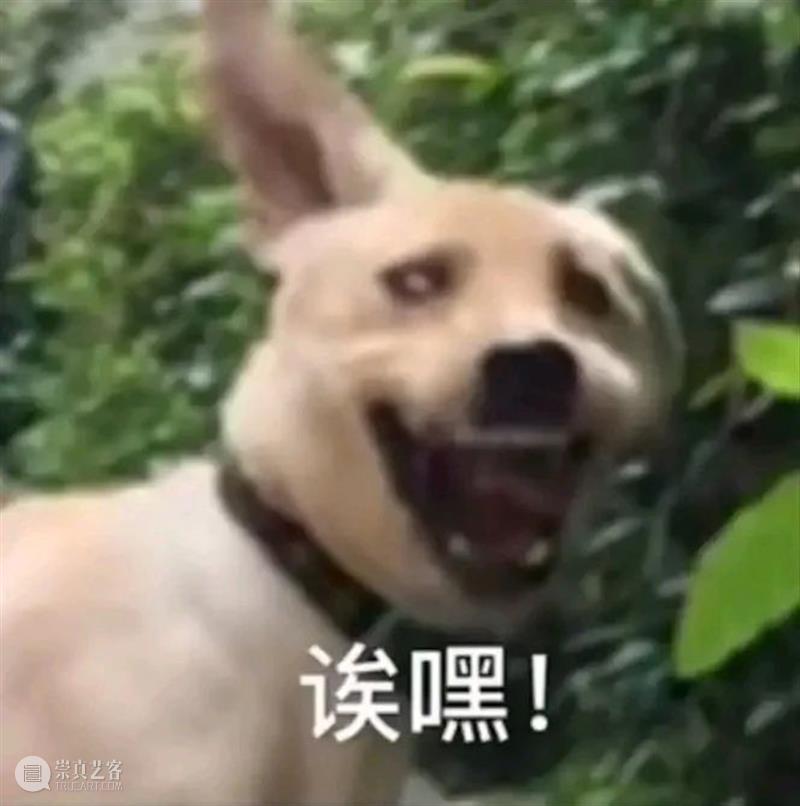 剧版《繁花》曝胡歌剧照；高能爽片《杀人快乐》首曝预告 繁花 胡歌 预告 剧照 高能 杀人快乐 影视 好剧 小豆 长春电影节 崇真艺客