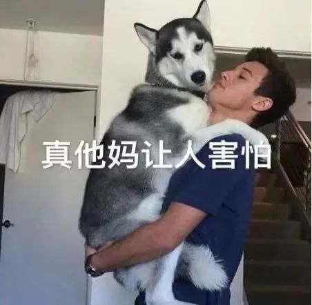 剧版《繁花》曝胡歌剧照；高能爽片《杀人快乐》首曝预告 繁花 胡歌 预告 剧照 高能 杀人快乐 影视 好剧 小豆 长春电影节 崇真艺客