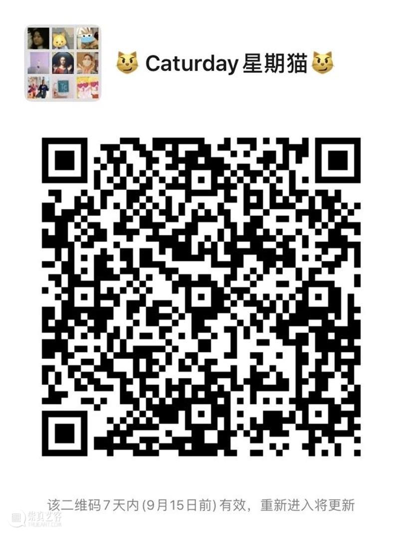 星期猫 | 工作还搞行为? 星期 工作 行为 广东时代美术馆 项目 线上 通道 美术馆馆猫 猫爷 视角 崇真艺客