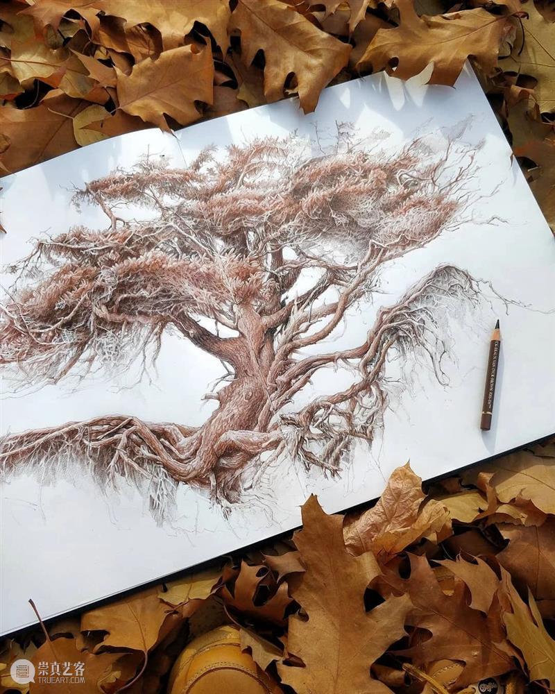 好适合圣诞节的手绘作品，森林、天空、湖泊真的棒！ 作品 森林 天空 湖泊 END 崇真艺客