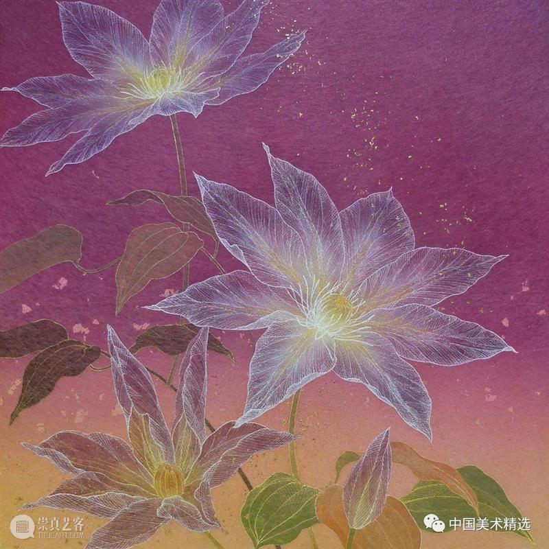 薄如蝉翼的空灵之美 蝉翼 日本 船桥 插画 小林 kobayashi 东京艺术大学 笔下 作品 梦幻 崇真艺客