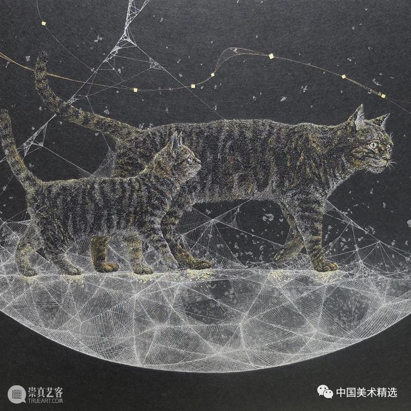薄如蝉翼的空灵之美 蝉翼 日本 船桥 插画 小林 kobayashi 东京艺术大学 笔下 作品 梦幻 崇真艺客