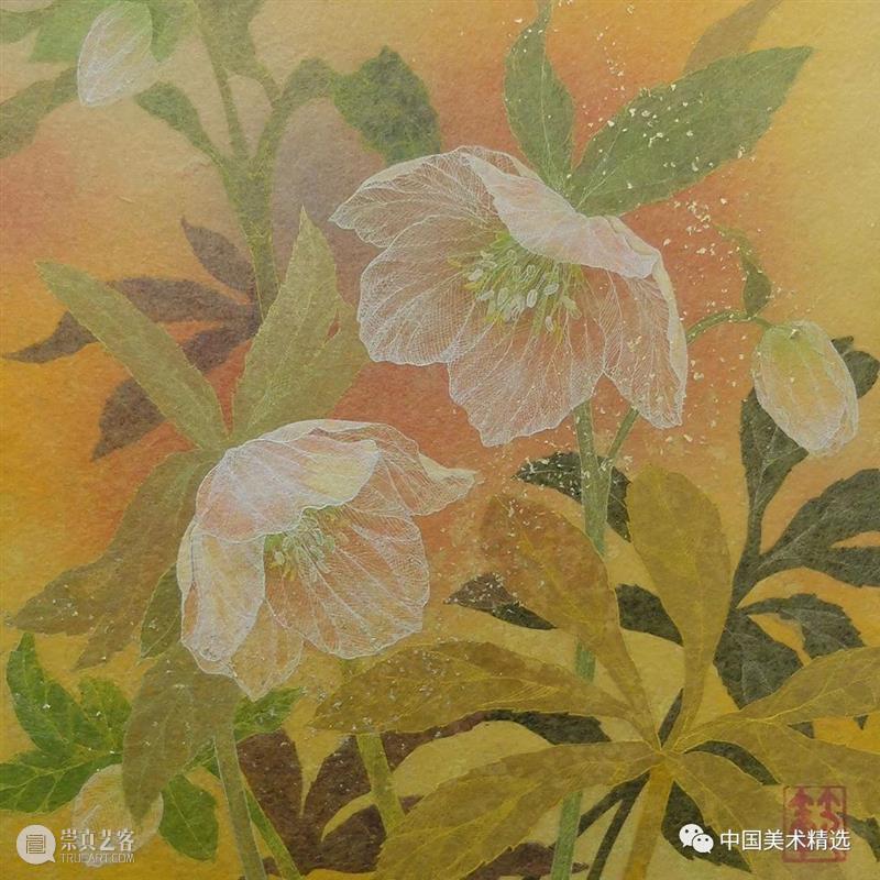薄如蝉翼的空灵之美 蝉翼 日本 船桥 插画 小林 kobayashi 东京艺术大学 笔下 作品 梦幻 崇真艺客