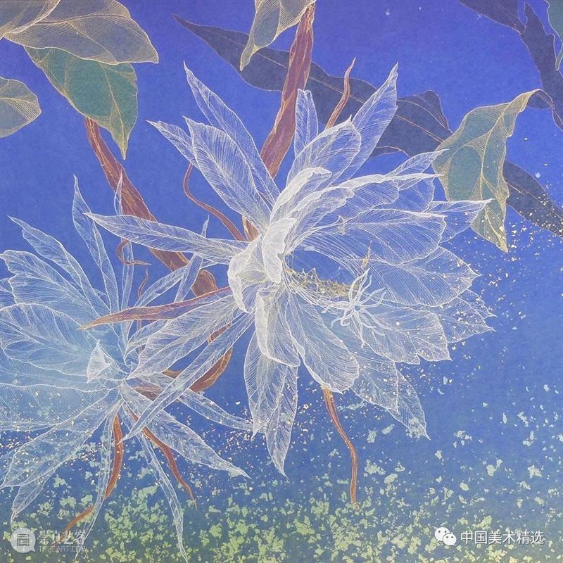 薄如蝉翼的空灵之美 蝉翼 日本 船桥 插画 小林 kobayashi 东京艺术大学 笔下 作品 梦幻 崇真艺客