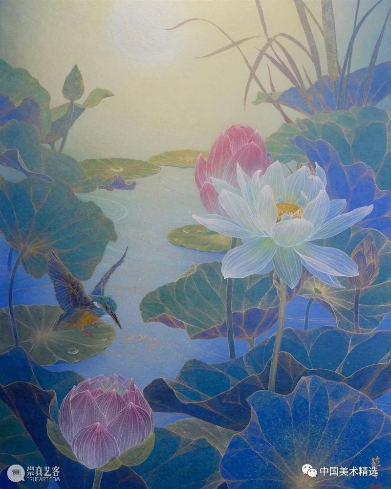 薄如蝉翼的空灵之美 蝉翼 日本 船桥 插画 小林 kobayashi 东京艺术大学 笔下 作品 梦幻 崇真艺客