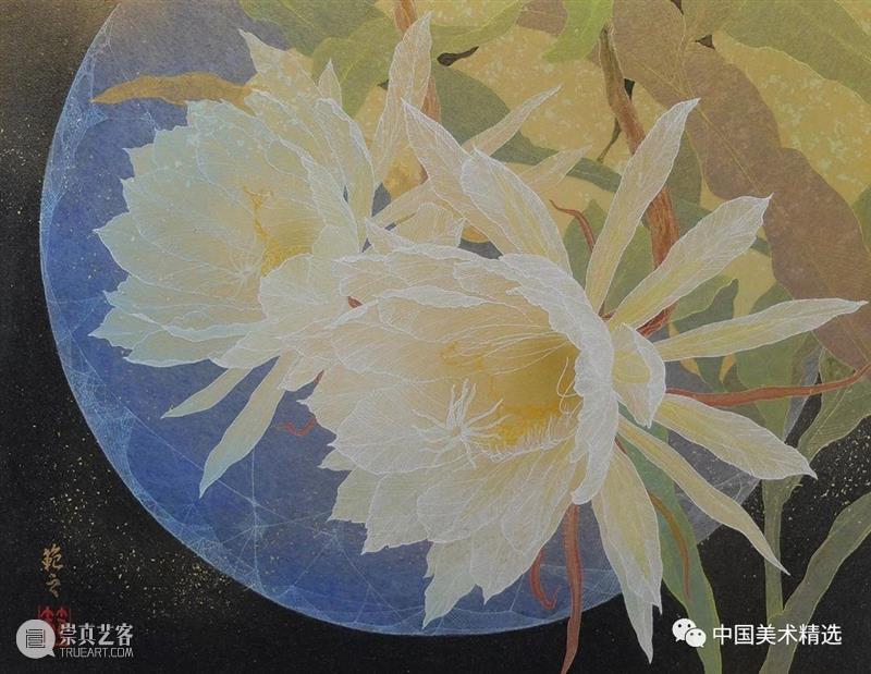 薄如蝉翼的空灵之美 蝉翼 日本 船桥 插画 小林 kobayashi 东京艺术大学 笔下 作品 梦幻 崇真艺客