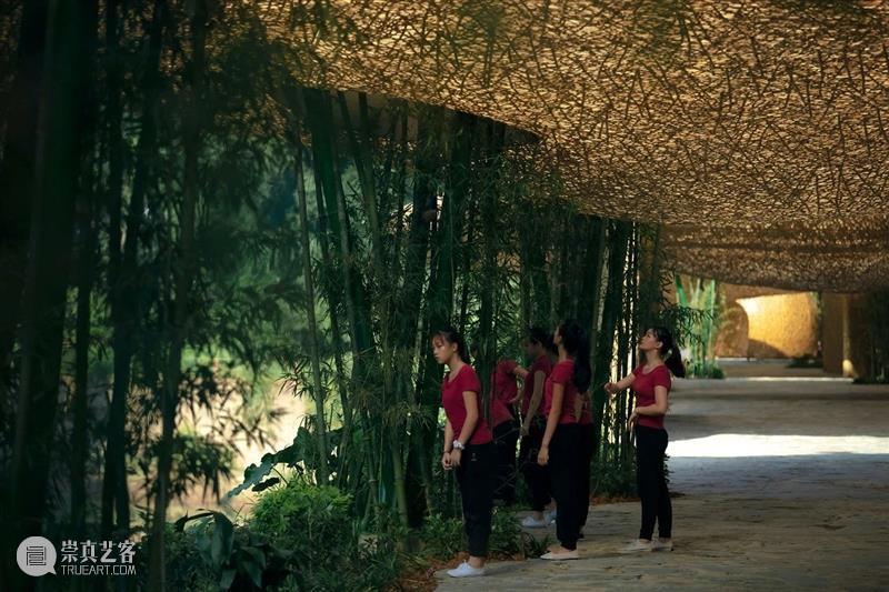 阳朔竹林亭台楼阁 / ​llLab. | 叙向建筑 视频资讯 ADCNews 建筑 阳朔 竹林 llLab 桂林山水甲天下 项目 印象 刘三姐 园区 中国 崇真艺客