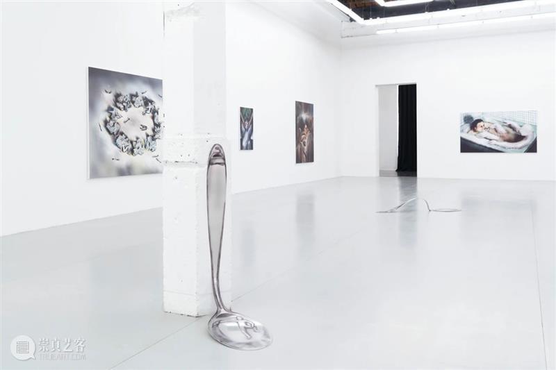 现场 | Louisa Gagliardi: Wishful Thinking 希冀之心 Louisa Gagliardi Thinking 现场 天线 空间 瑞士 艺术家 个展 国际上 崇真艺客