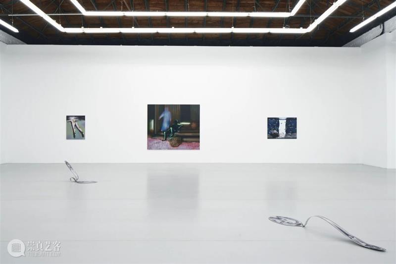 现场 | Louisa Gagliardi: Wishful Thinking 希冀之心 Louisa Gagliardi Thinking 现场 天线 空间 瑞士 艺术家 个展 国际上 崇真艺客