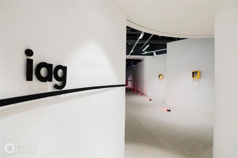 News | Liu Wa and Miao Ying participate in The New Reality News Porsche Baoyang Xinyi iag Huaihai Exhibition Shanghai Winner Multi 崇真艺客