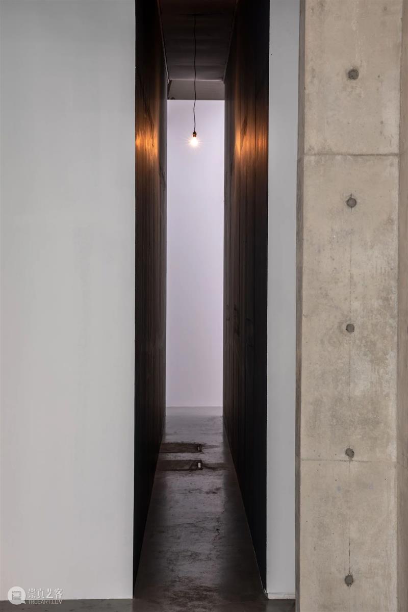 【新世纪】开幕现场｜仇晓飞个案研究展 Part Ⅰ  赤 仇晓飞 Part 新世纪 现场 艺术家 个案 研究展 托洛茨基基 艺术 总监 崇真艺客