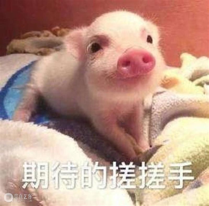 楼主周报 | 华裔导演赵婷新作夺威尼斯电影节金狮奖，《夺冠》提档 楼主 周报 夺冠 导演 威尼斯 电影节 新作 华裔 赵婷 金狮奖 崇真艺客