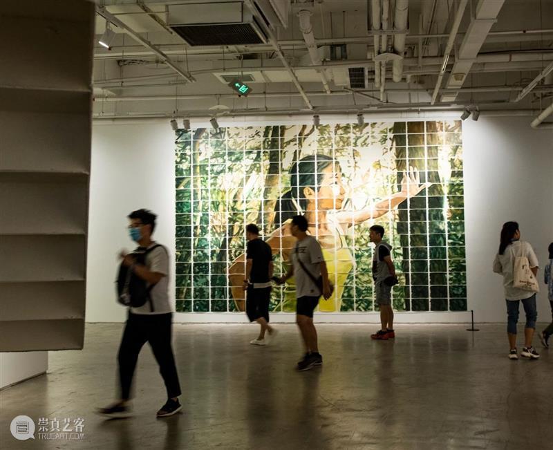 【GCA开幕现场】《跃然纸上》 跃然纸上 现场 GCA 帷幕 敦煌 边塞桑 皮纸 家信 书札 近人 崇真艺客