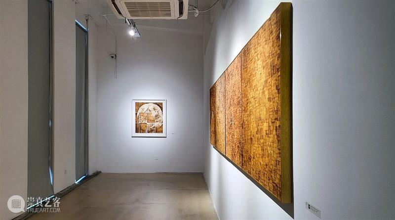 徐新武：“积聚与生成——2020上海当代艺术展”参展艺术家 徐新武 上海 艺术家 艺术展 作品 Works WARM－星球 毛毡 WARM－源 WARM 崇真艺客