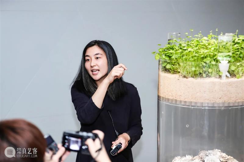 以花之名 | 孙月:用瓷土和植物,让时间可视 孙月 时间 植物 瓷土 视频 明珠美术馆 蒲公英 四方 生命 艺术家希沙姆 崇真艺客