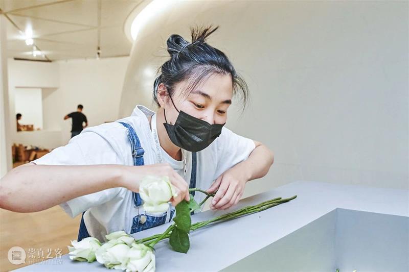 以花之名 | 孙月:用瓷土和植物,让时间可视 孙月 时间 植物 瓷土 视频 明珠美术馆 蒲公英 四方 生命 艺术家希沙姆 崇真艺客
